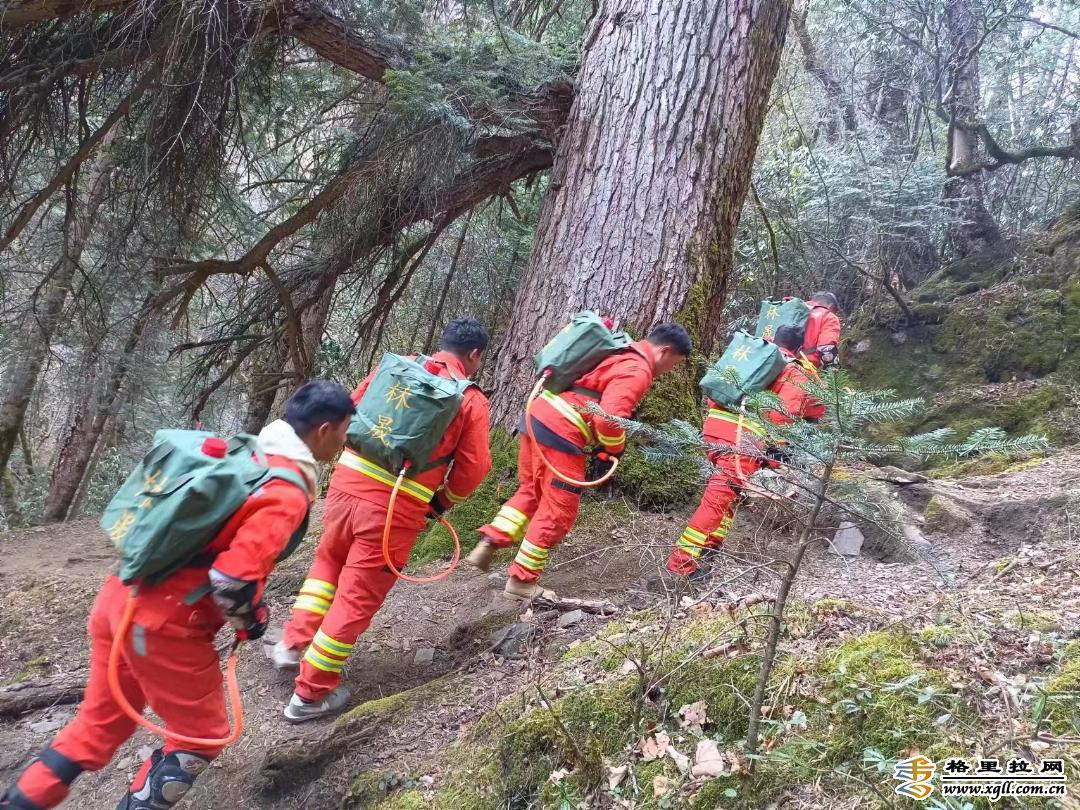 downLoad-20230222143744.jpg downLoad-20230222143744.jpg