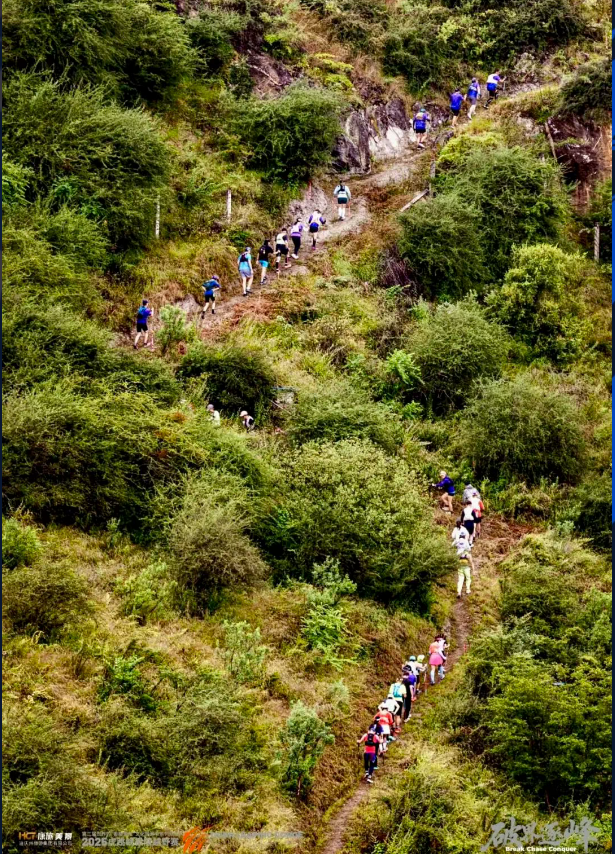 1760080521128086100.png image.png