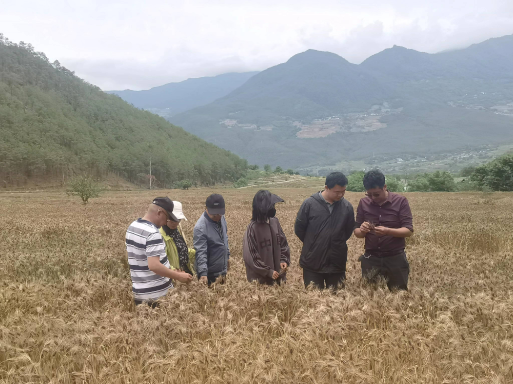 1672362812178093591.png 图片1.png