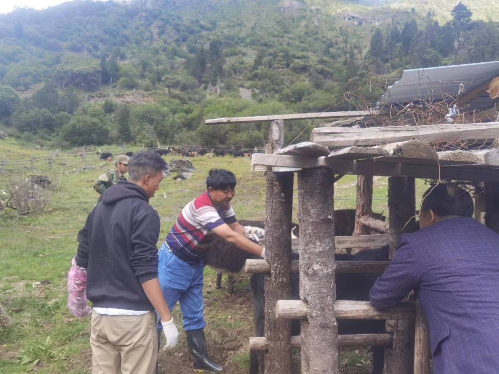 1672362876157074913.png 图片3.png