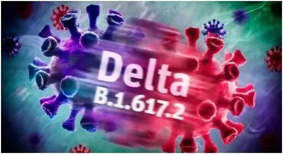 1639053799042083698.jpg q.jpg