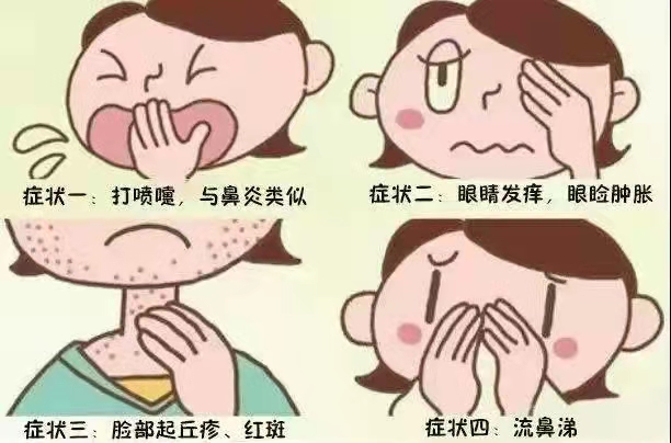 1639060947279011475.jpg 13.jpg