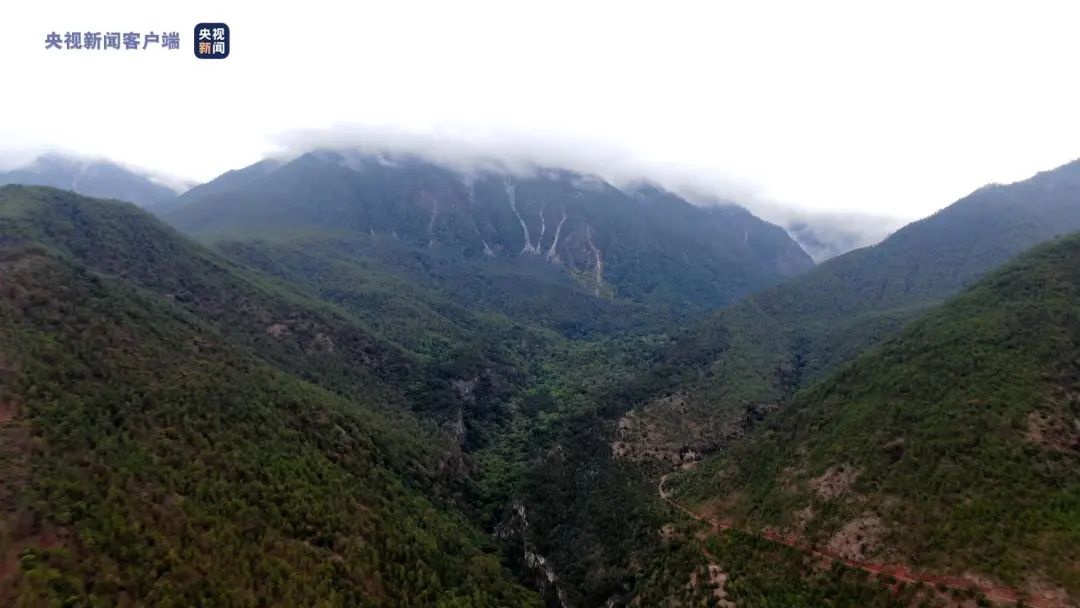 1651742489811021010.jpg 2.jpg