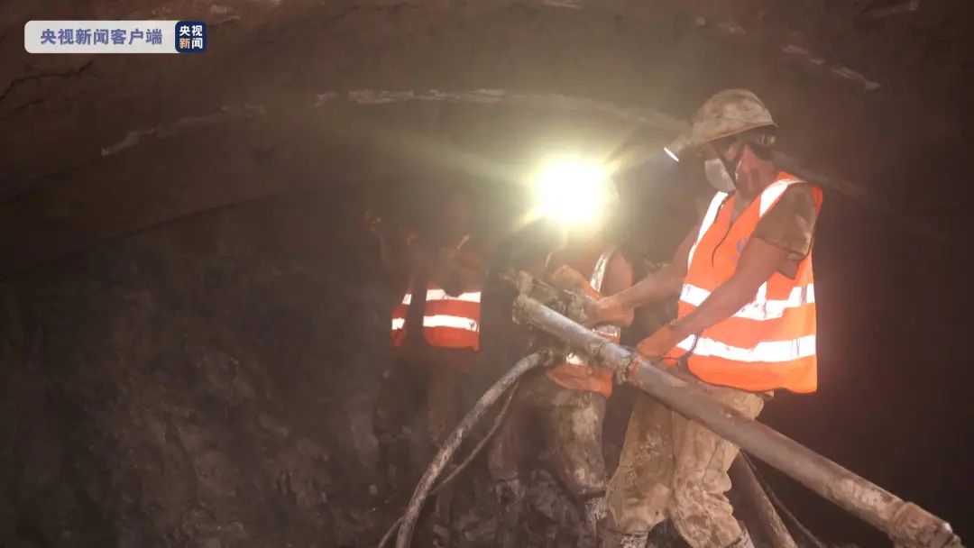 1651742501735016106.jpg 3.jpg