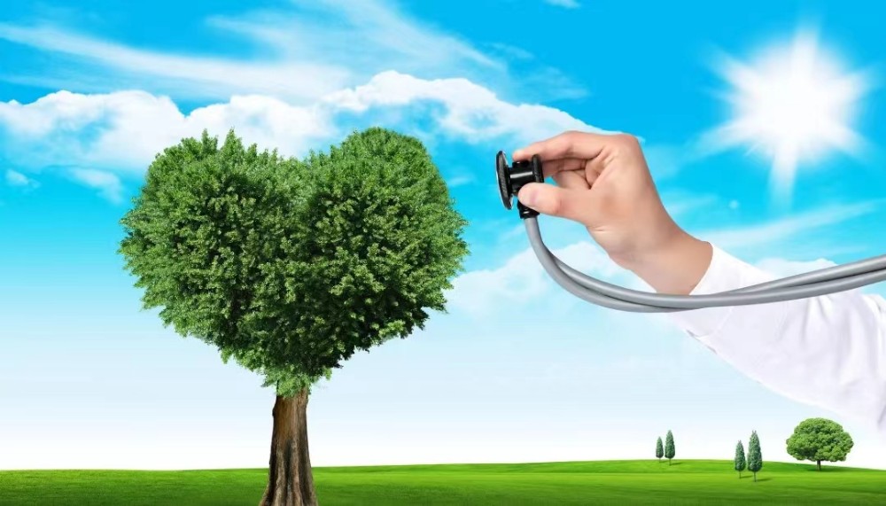 1658138903481082547.jpg 1658138903481082547.jpg