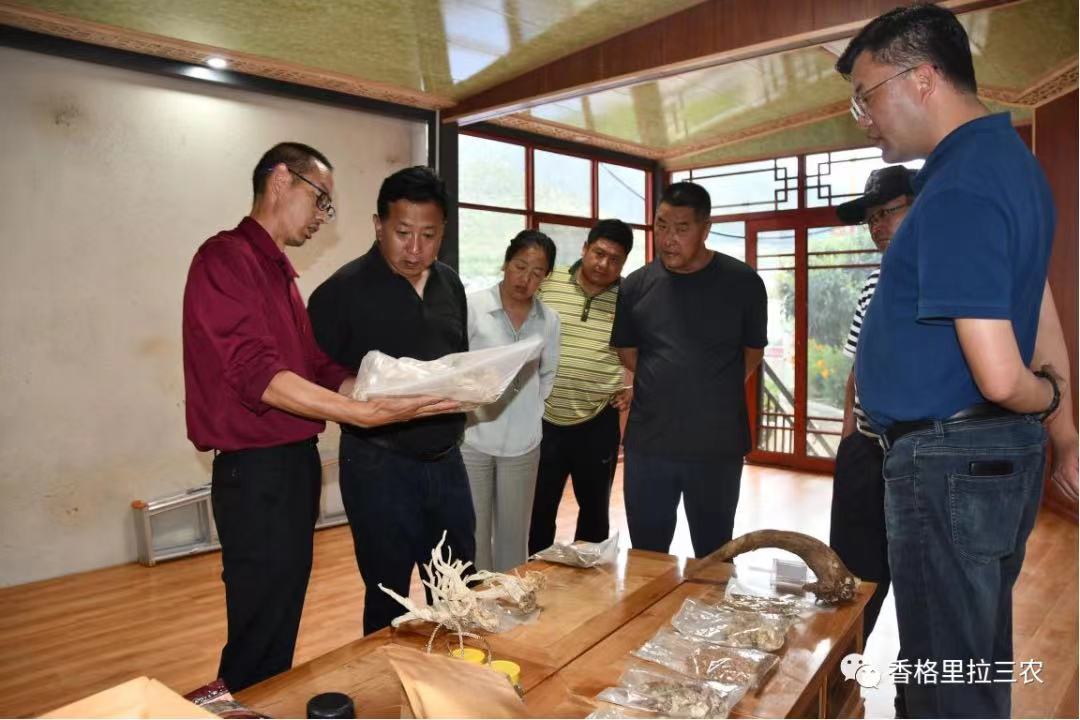 1661765438447044645.jpg 1661765438447044645.jpg