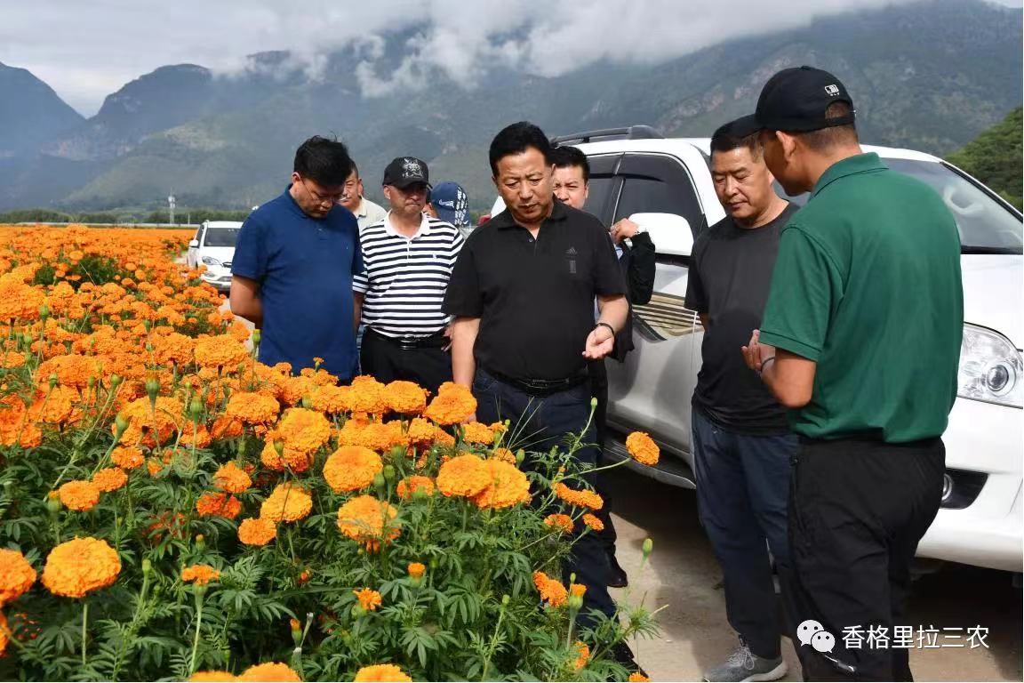 1661765545293009735.jpg 1661765545293009735.jpg