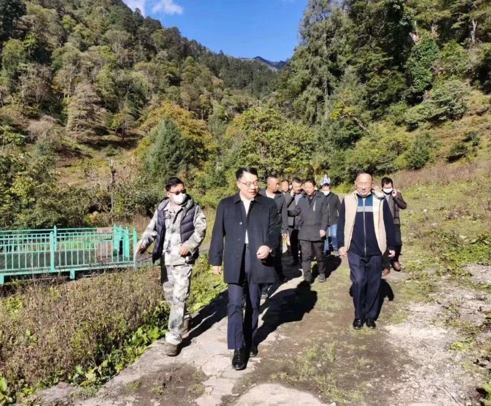 1666833606826074667.jpg 1666833606826074667.jpg