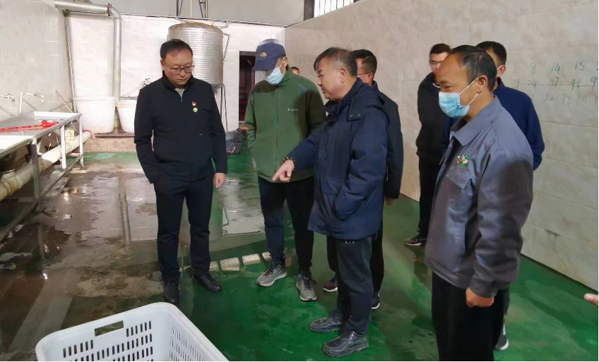 1668304703646063812.png 图片3.png