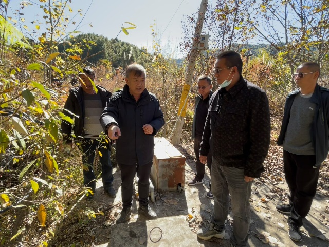 1668304739981057698.png 图片5.png