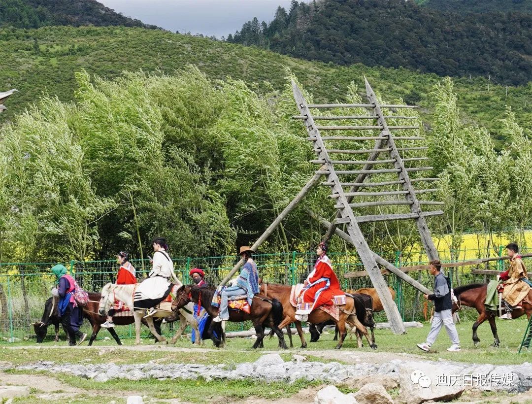 1689327843221041212.jpg 1689327843221041212.jpg