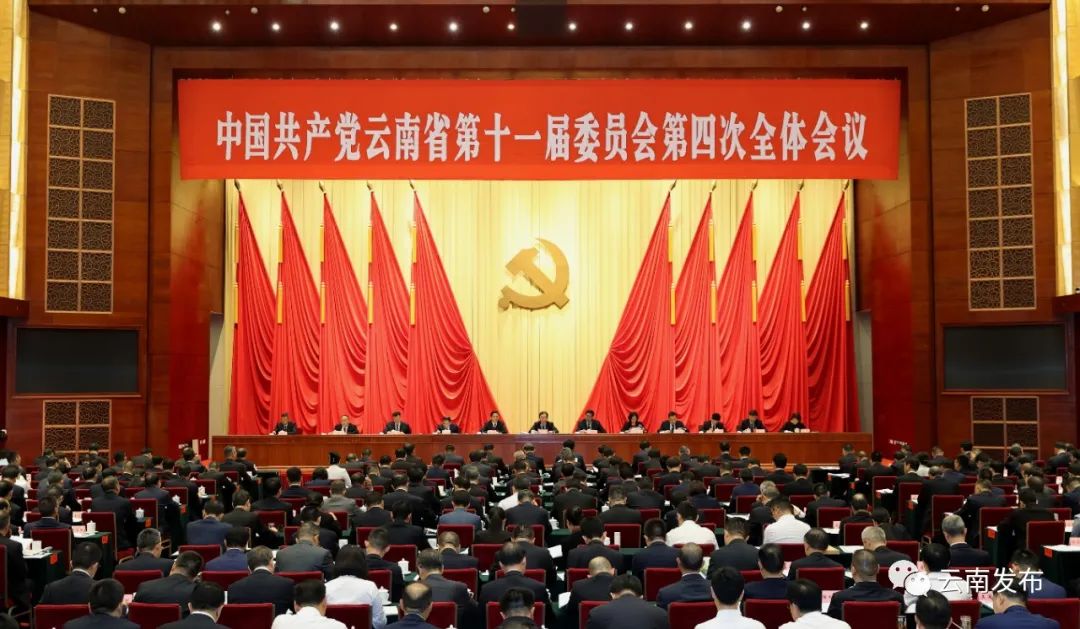 1690535537180012670.jpg 16f80b91-7704-4c74-b82d-c9be0dfa0e40.jpg