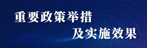 重要政策举措及实施效果