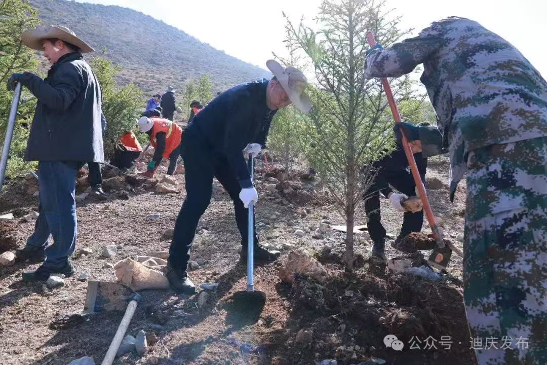 1744773891646023237.jpg 1744773891646023237.jpg