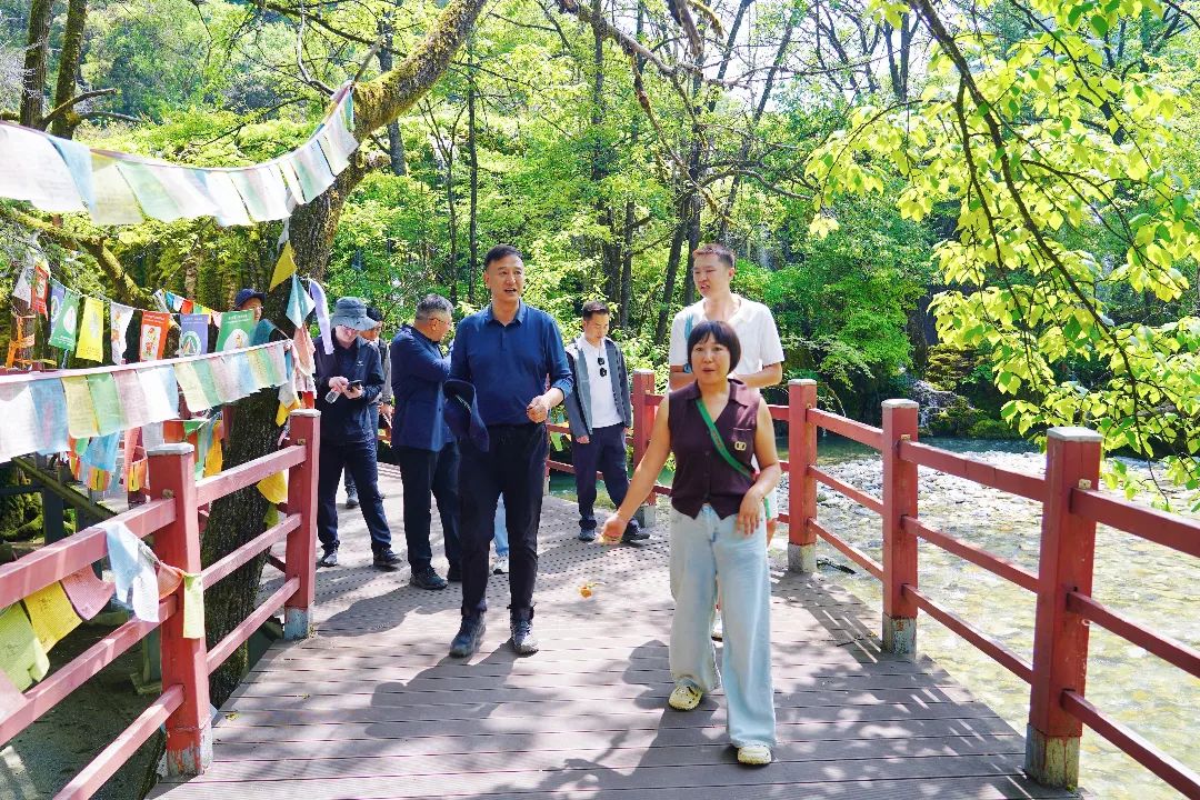 1753080384546025855.jpg 1753080384546025855.jpg