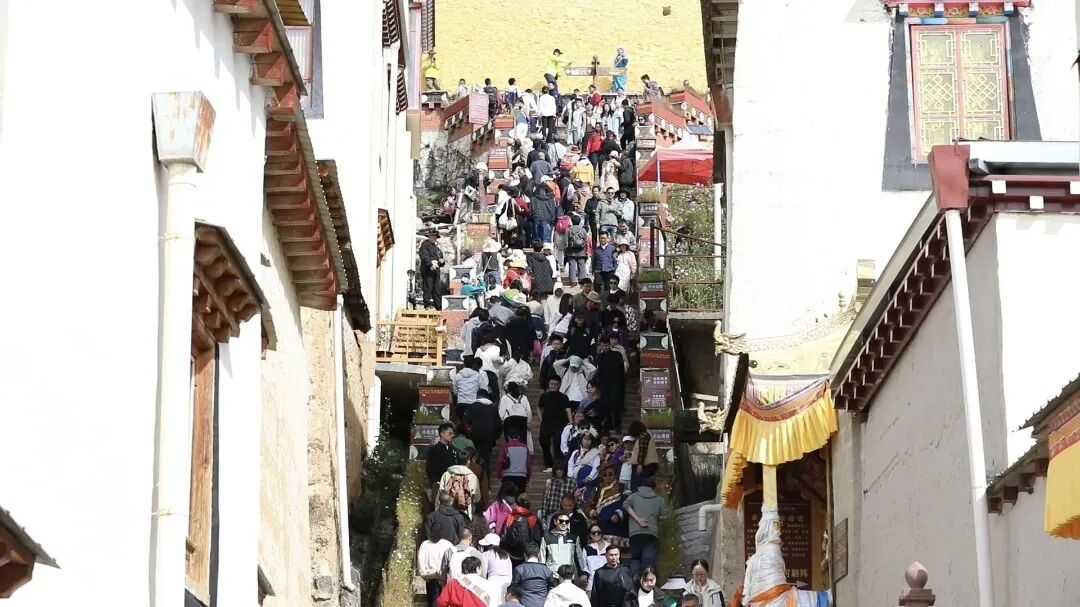 1760080701567061320.jpeg 1760080701567061320.jpeg