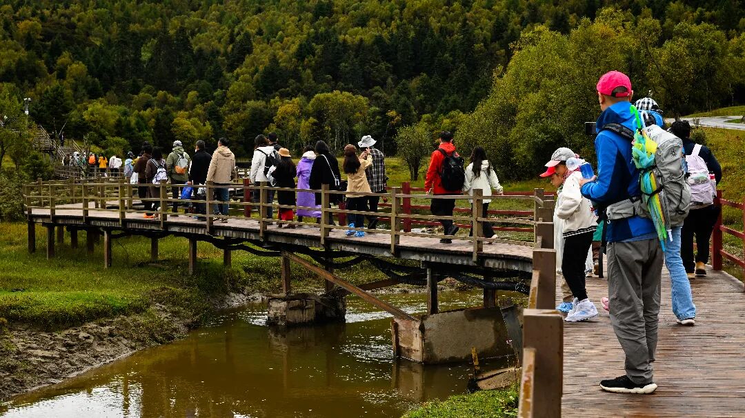 1760080863444090719.jpeg 1760080863444090719.jpeg