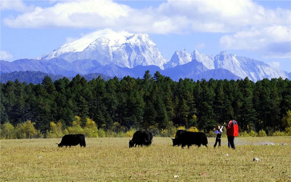 1760663369972086790.jpeg 1760663369972086790.jpeg