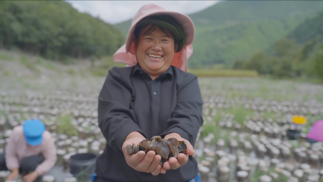 1760663568879039088.png 1760663568879039088.png