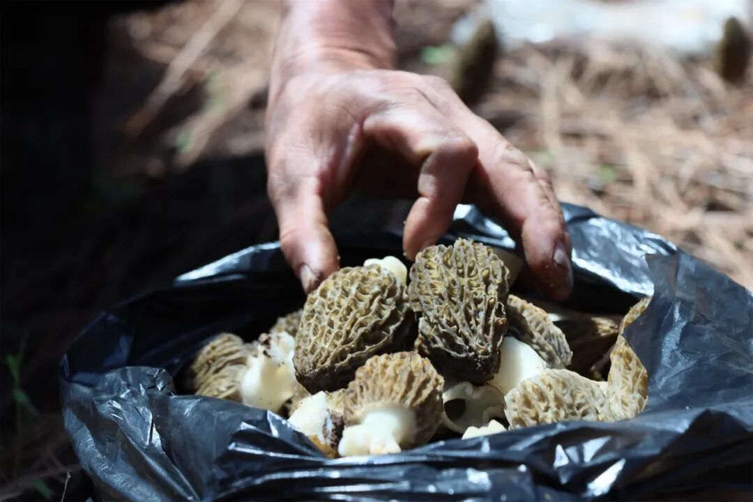 1760663594344021872.jpeg 1760663594344021872.jpeg