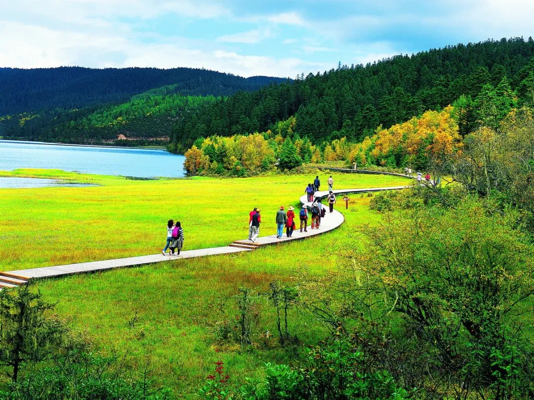 1760663628115000450.jpeg 1760663628115000450.jpeg