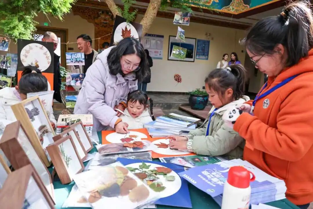 1760663651042065981.jpeg 1760663651042065981.jpeg