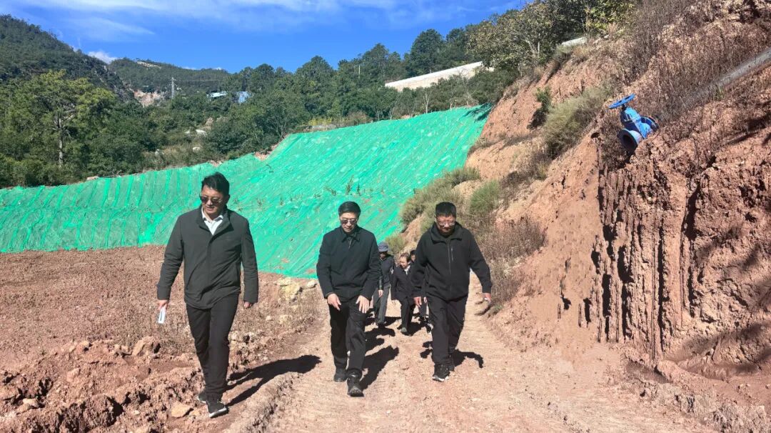 1762739564833071067.jpeg 1762739564833071067.jpeg