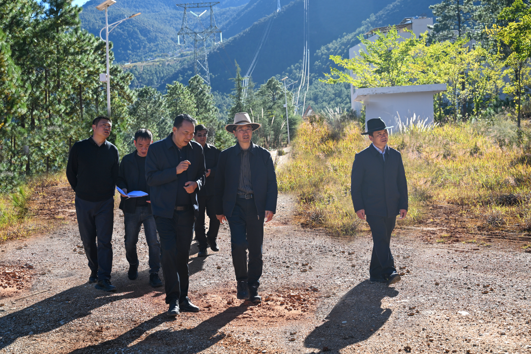 1762739590289076029.png 1762739590289076029.png