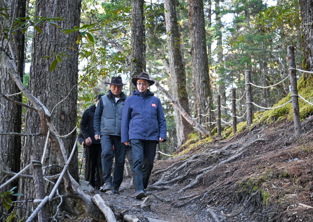 1762739816674055270.png 1762739816674055270.png