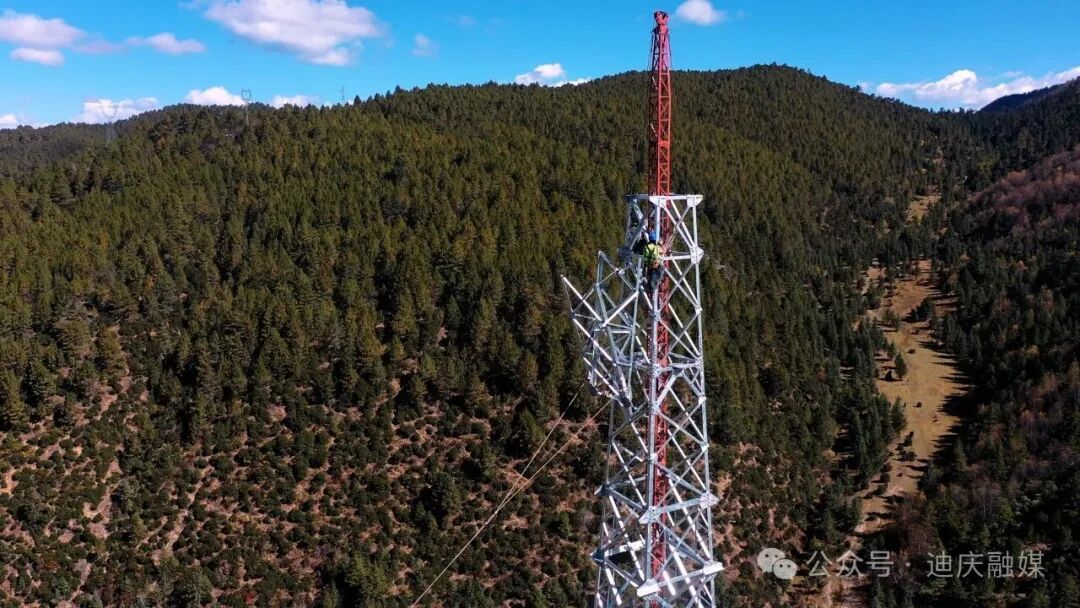 1763451683964082292.jpeg 1763451683964082292.jpeg