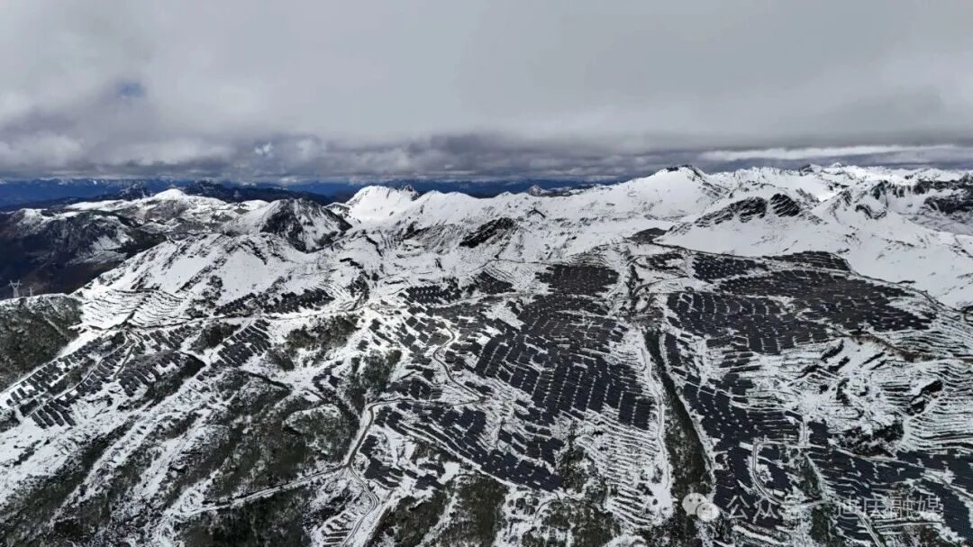 1763451736121044136.jpeg 5.jpeg