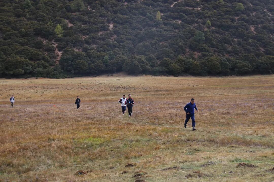 1763526137093025913.jpeg 1763526137093025913.jpeg