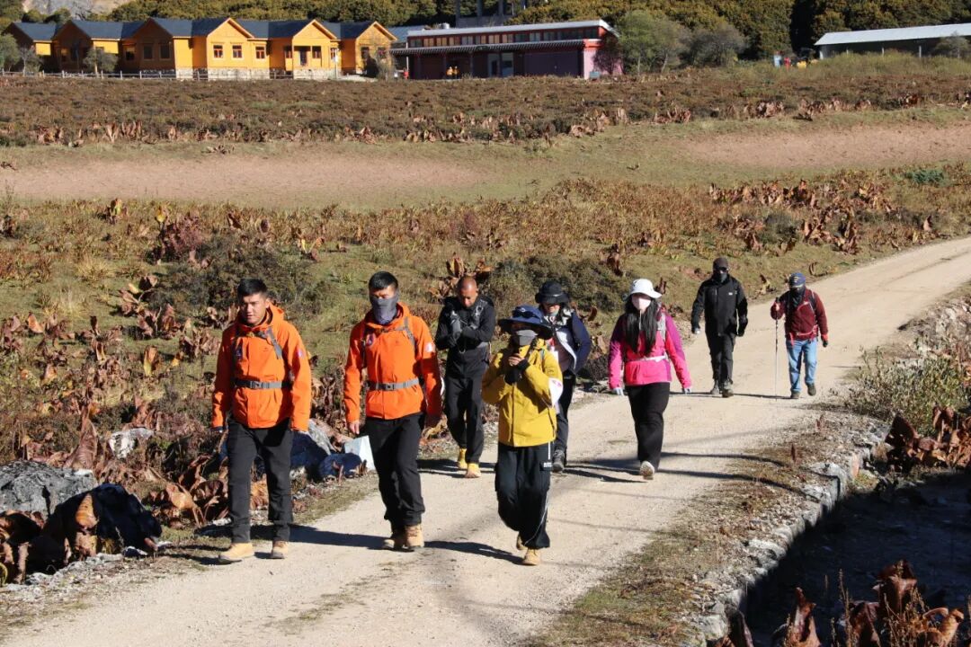 1763526149791011976.jpeg 1763526149791011976.jpeg