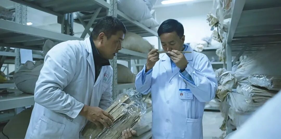 1765509194009068735.jpeg 1765509194009068735.jpeg