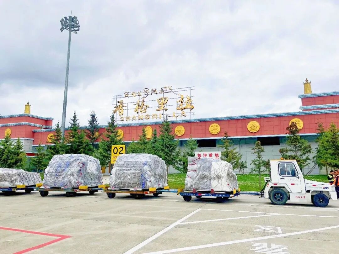 1766394642212013117.jpeg 22.jpeg