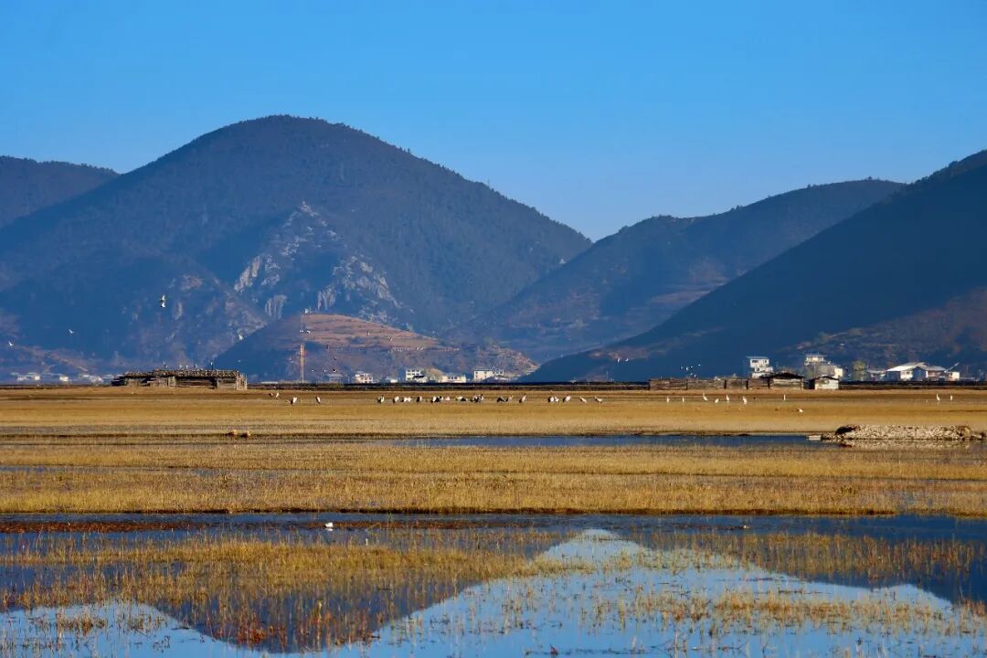 1767927289988072656.jpeg 1767927289988072656.jpeg