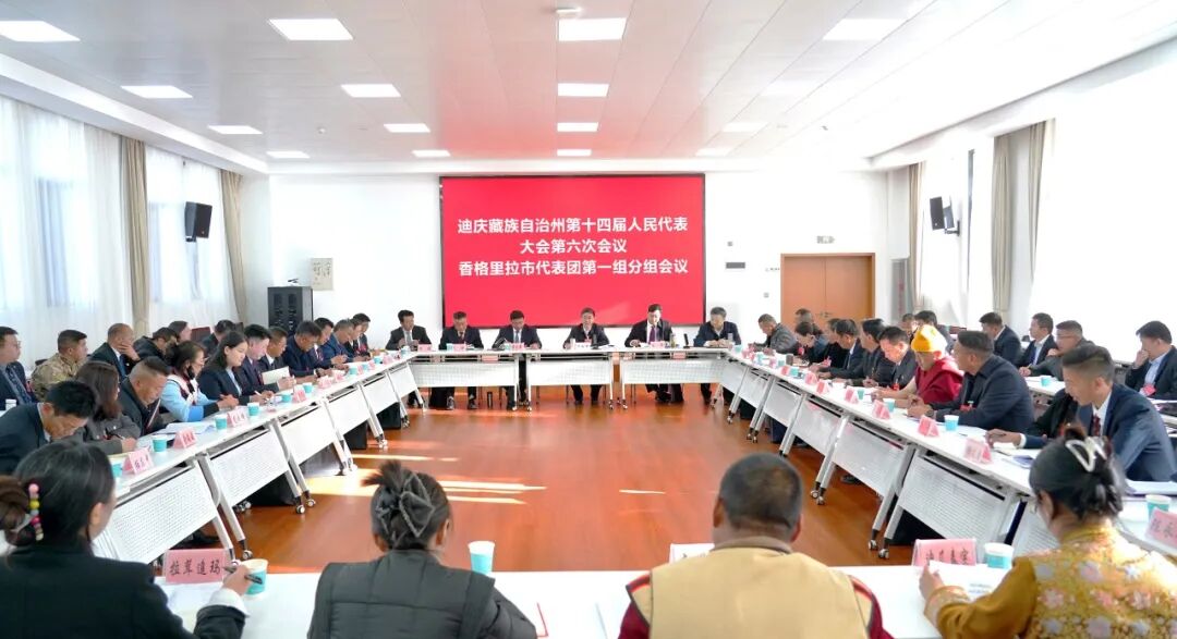 罗朝峰参加香格里拉市代表团审议时强调：锚定“州府”定位 勇担发展使命 奋力在全州各项工作中走在前作示范