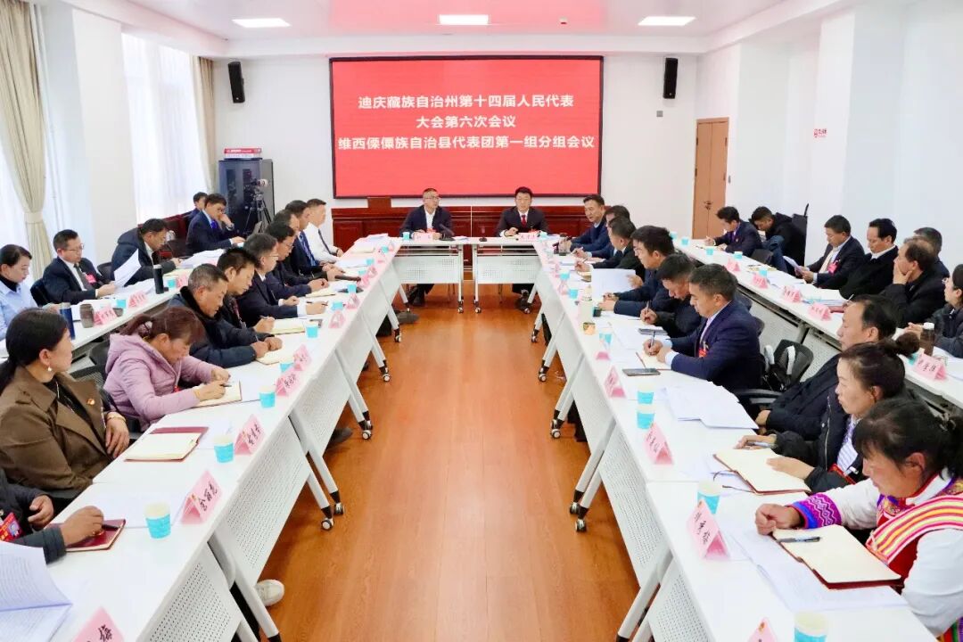 张卫东参加维西县代表团审议