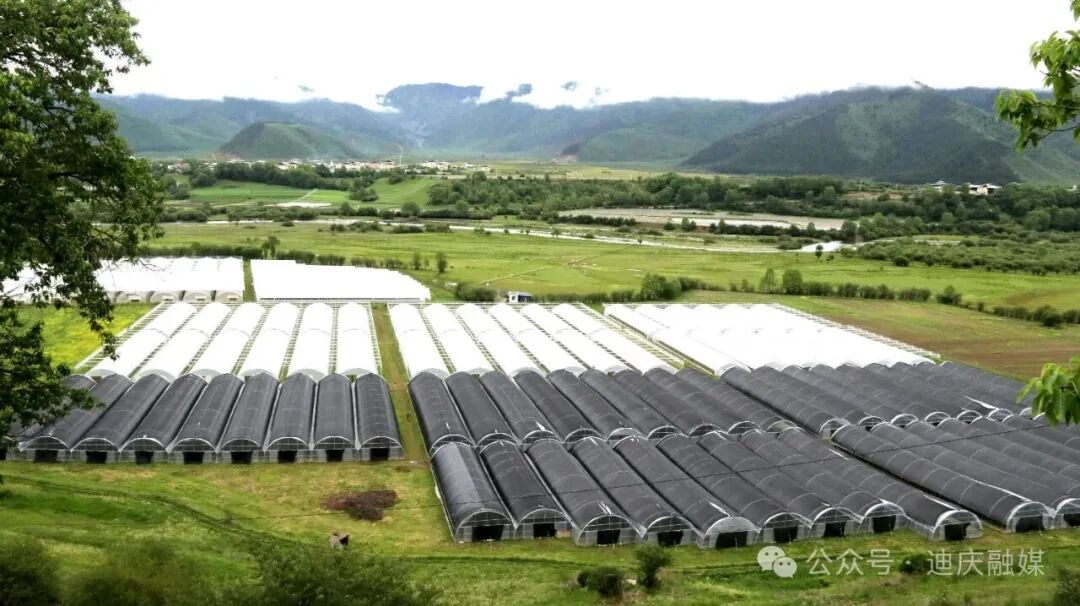 1775546705152004683.jpeg 11.jpeg