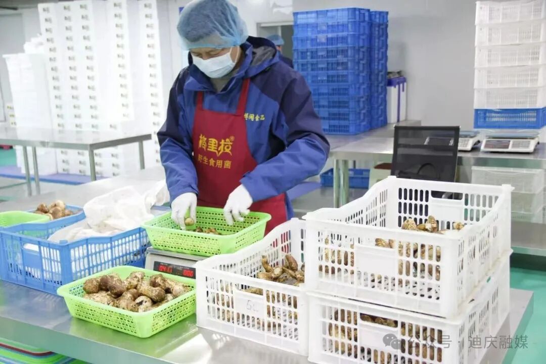 1775546737413065606.jpeg 13.jpeg