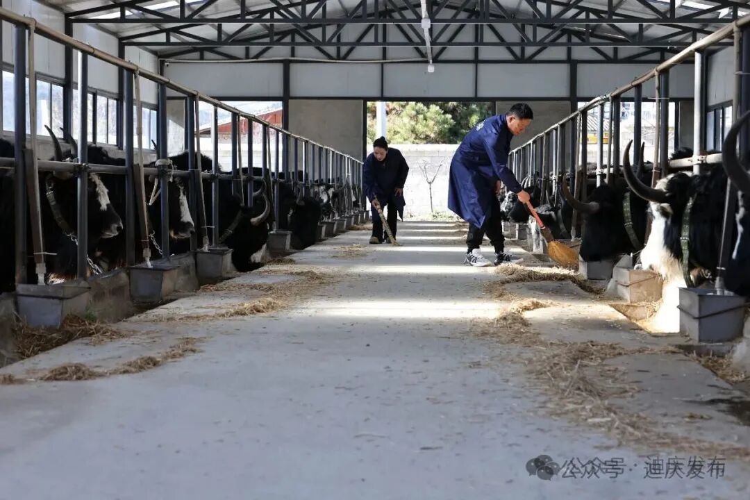 1776068831569022701.jpeg 2.jpeg