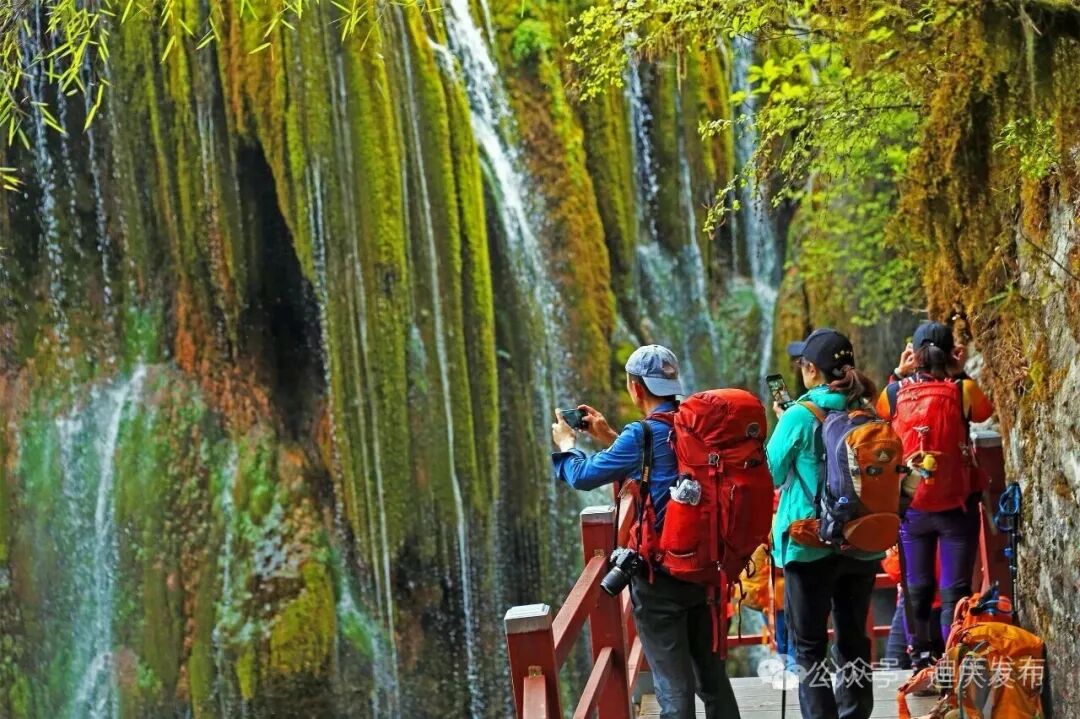 1776069034141087654.jpeg 5.jpeg