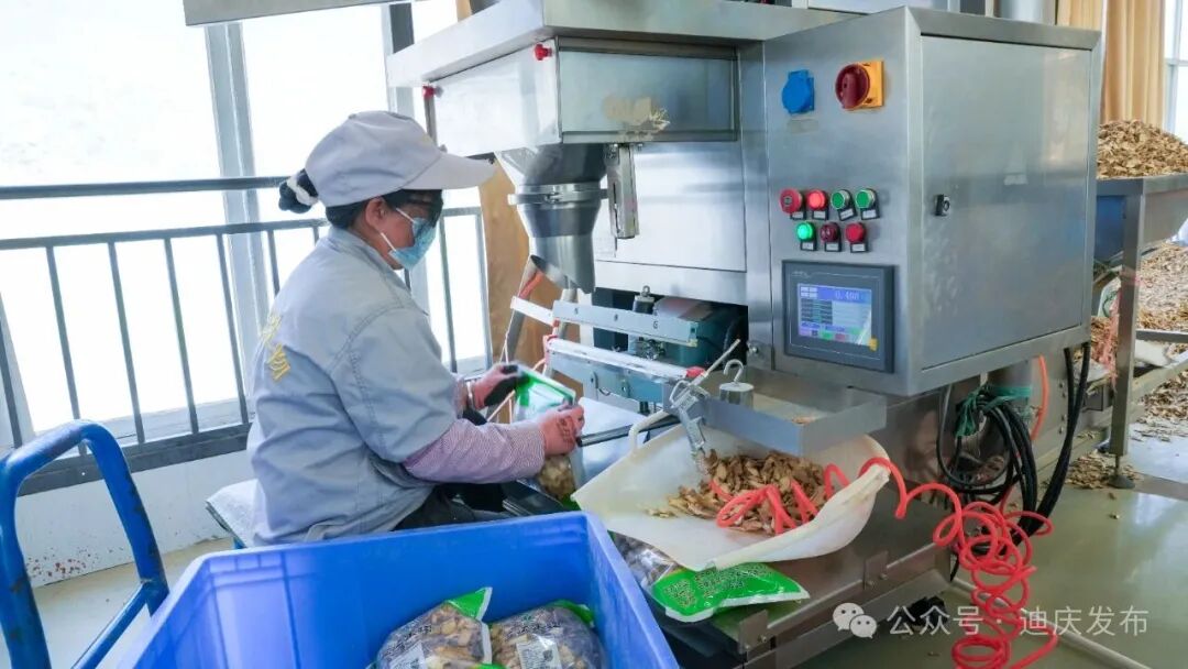 1776242732038072420.jpeg 2.jpeg