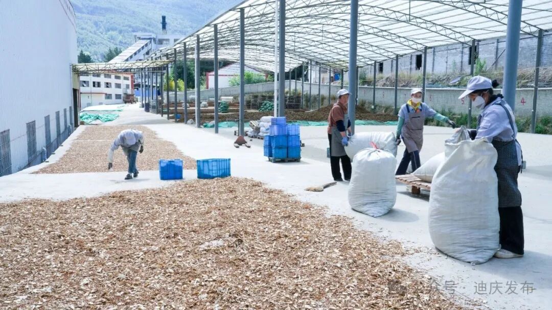 1776242744966056222.jpeg 3.jpeg