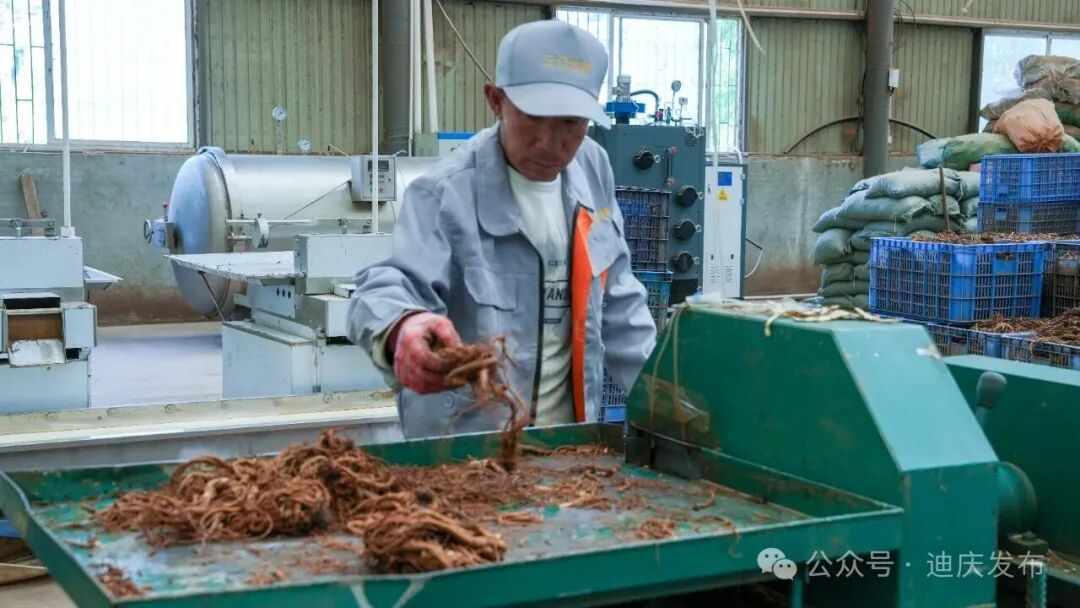 1776242760173418987.jpeg 4.jpeg