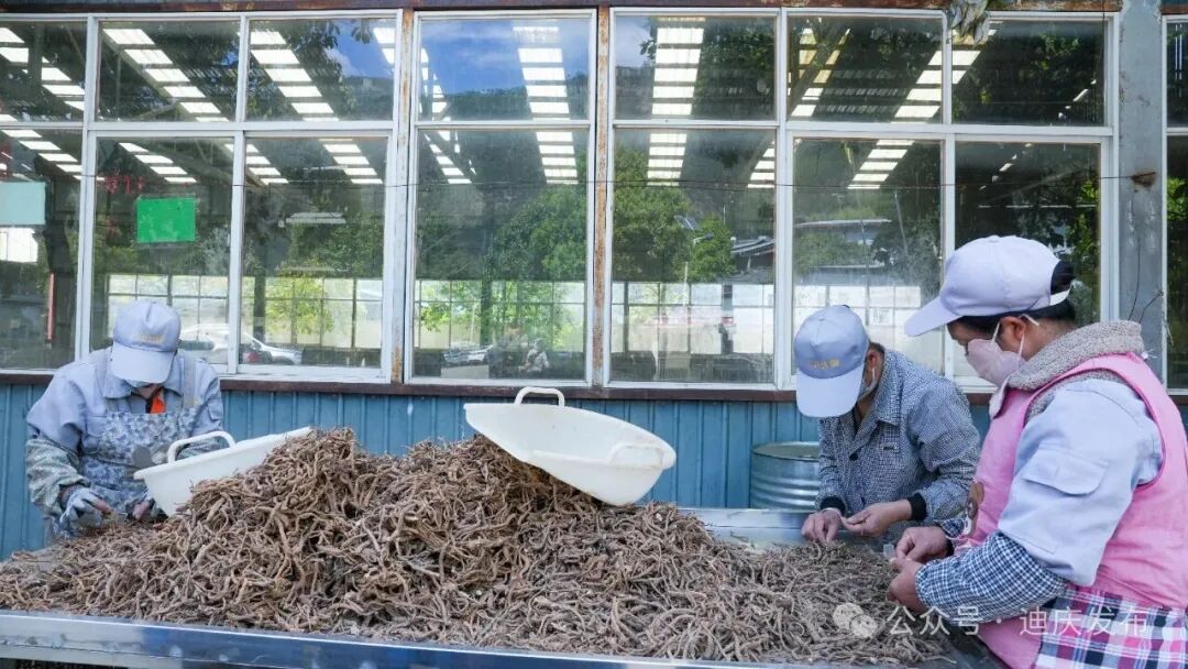 1776242773404044107.jpeg 5.jpeg