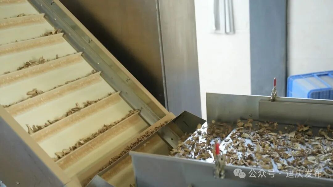 1776242784165097697.jpeg 6.jpeg