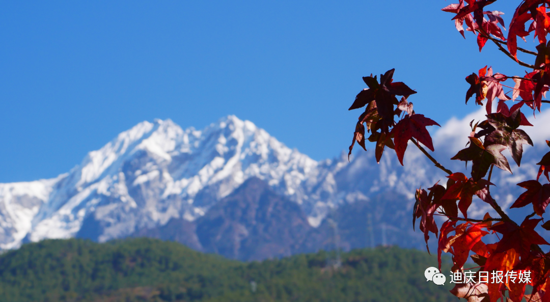 1641866576302080073.png 1.png