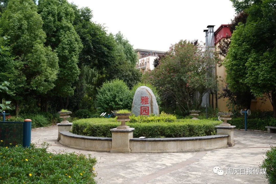 1655276500207052472.jpg 11.jpg