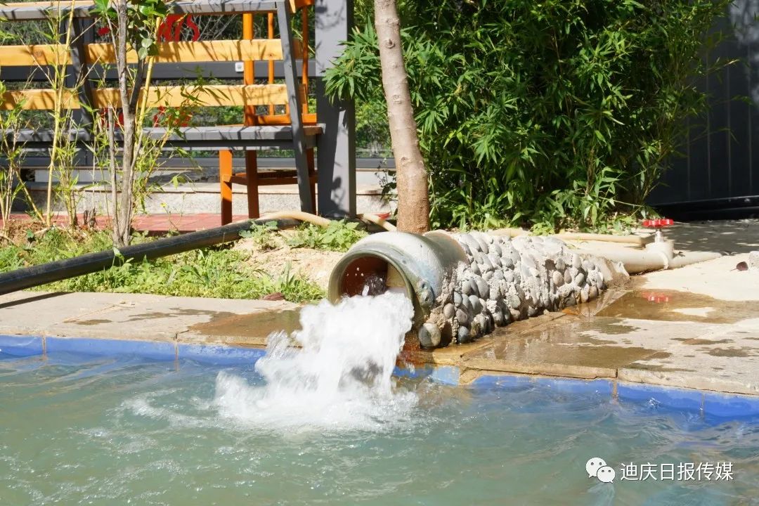 1655278074930027200.jpg 77.jpg